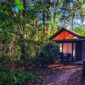 Resort Rainforest, Byron Bay